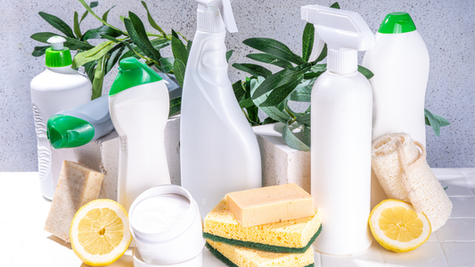 eco friendly at neat services group london