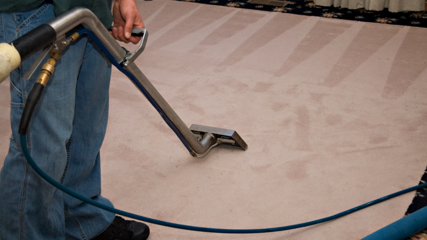 neat services group member cleaning a carpet with a steam cleaning shampoo in london home , 