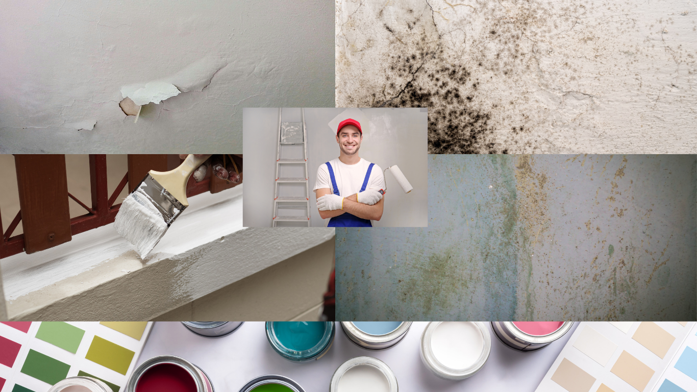 neat services group  painter with tools, paint cans, and moldy wall. trying to do some pain treatments for 3 bed house in london 
